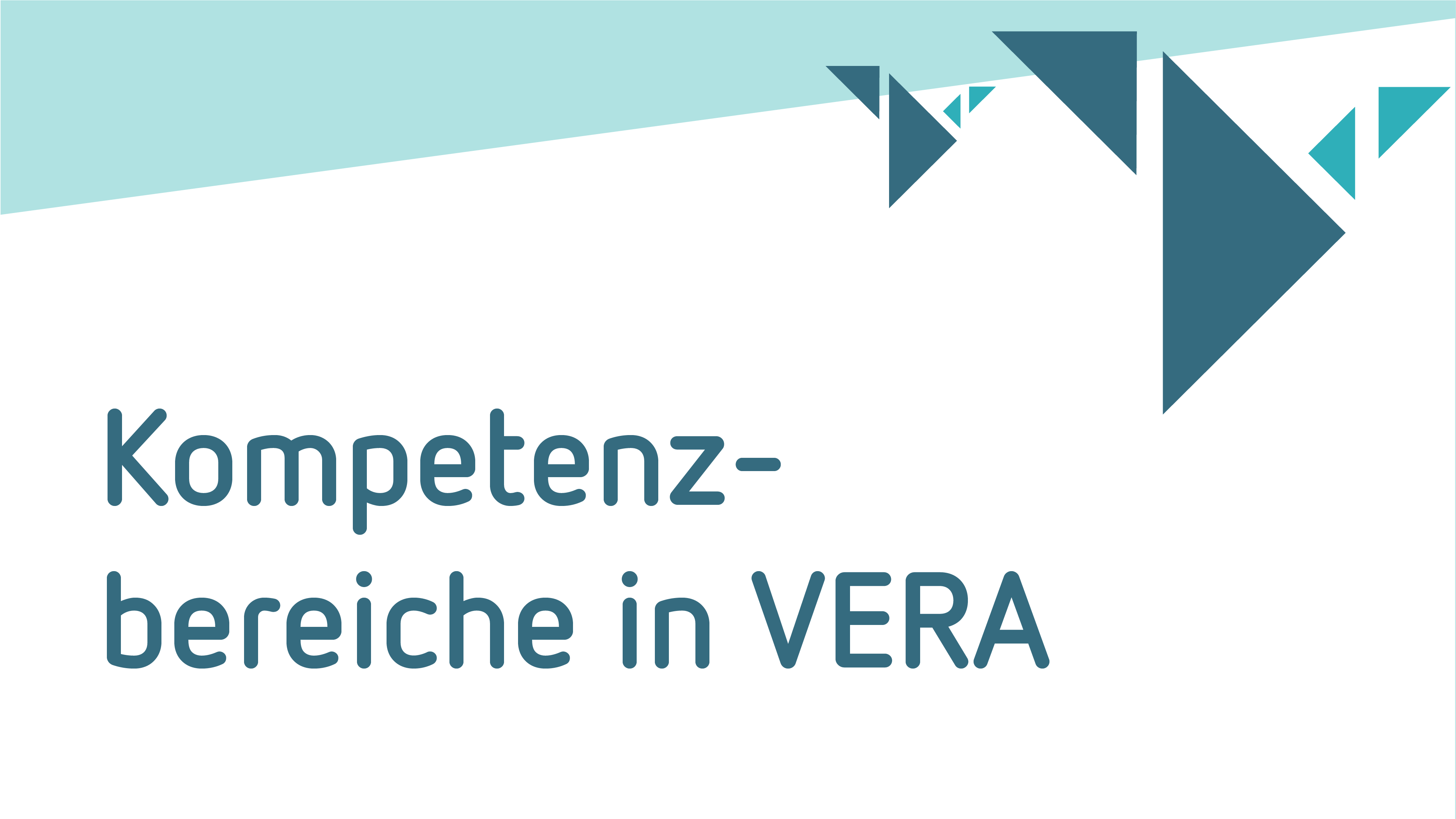 Kompetenzbereiche in VERA